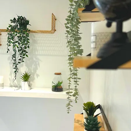 L'oasis Cosy Appartamento *