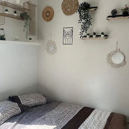 Appartamento L'oasis Cosy *