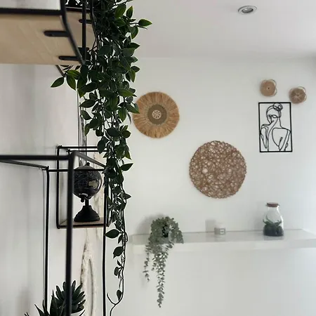 Apartment L'oasis Cosy Villeurbanne
